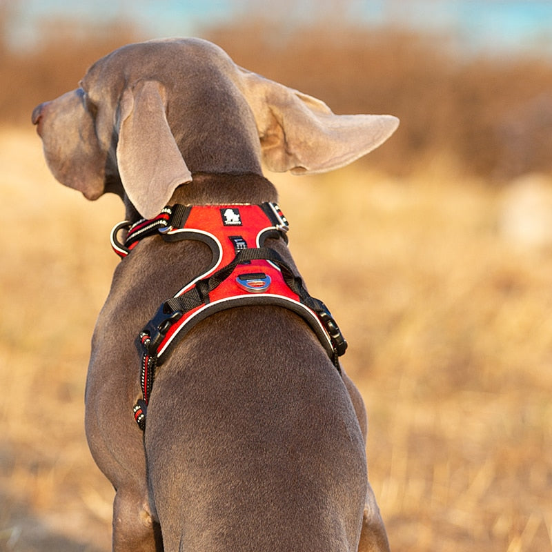 Dog Reflective Nylon Harness - Fur Baby Finds