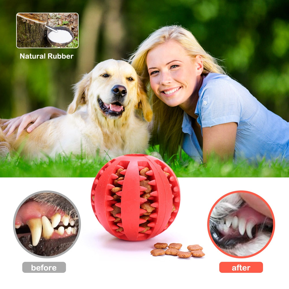 Rubber Pet Ball Toy - Fur Baby Finds