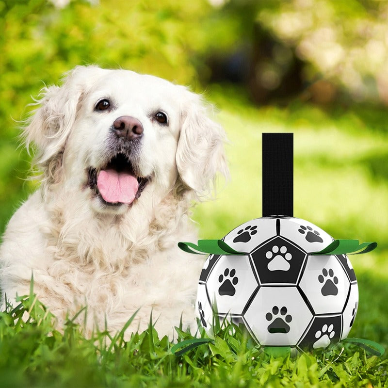 Interactive Pet Football Toy - Fur Baby Finds