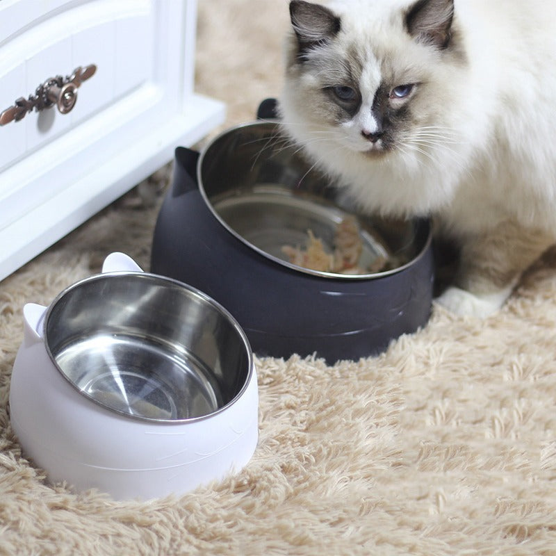 Raised Stainless Steel Cat & Dog Bowl - Fur Baby Finds