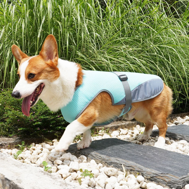 Summer Dog Cooling Harness - Fur Baby Finds