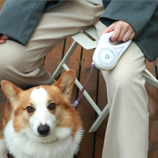 LED Retractable Dog Leash - Fur Baby Finds