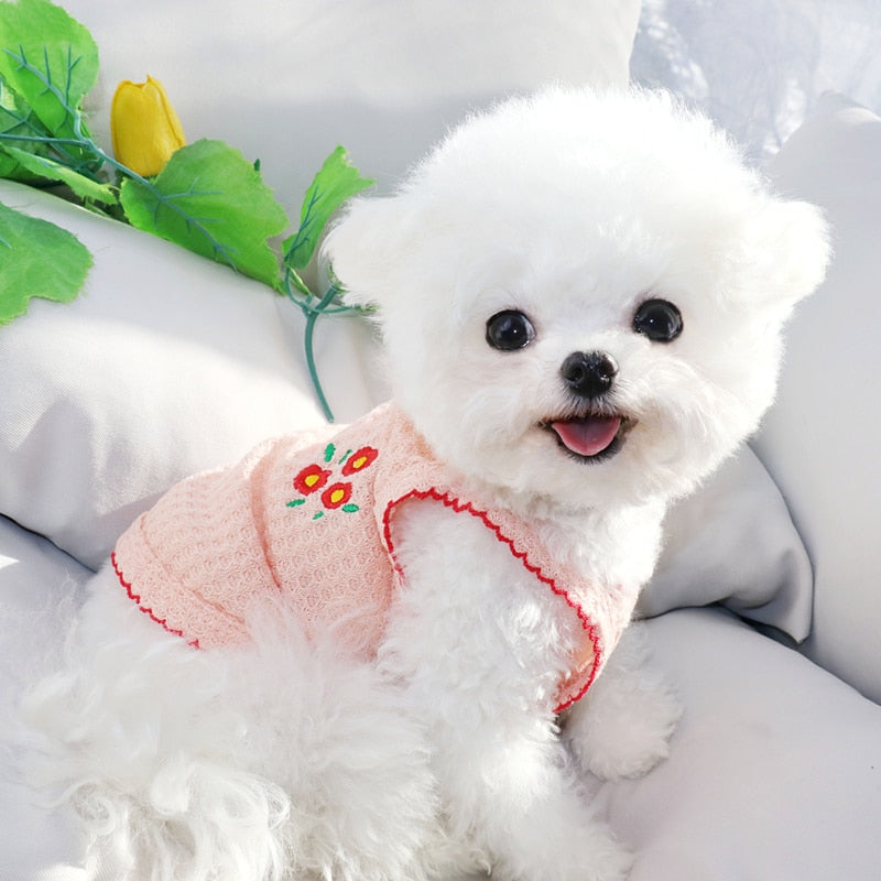 Flower Embroidery Dogs Suspender - Fur Baby Finds