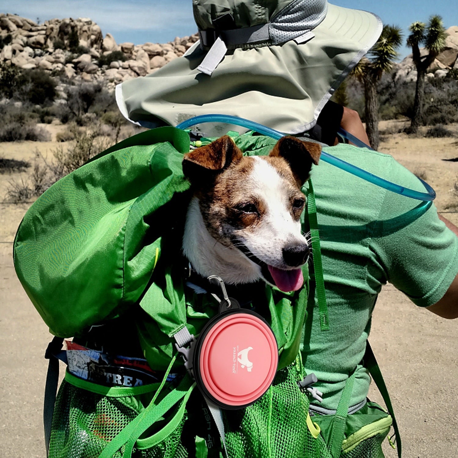 Collapsible Dog Bowl - Fur Baby Finds