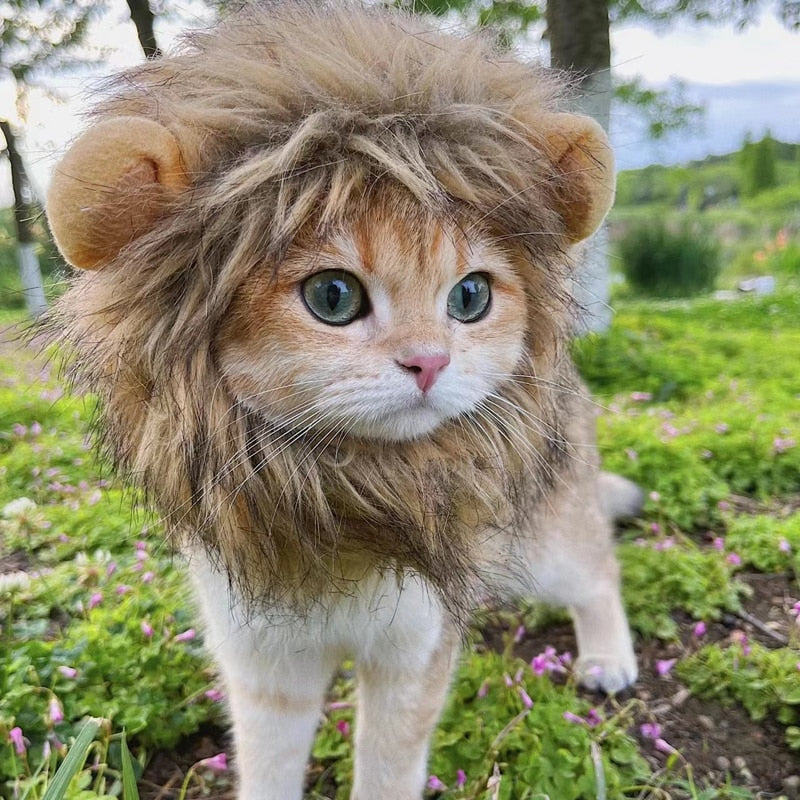 Cute Cat Lion Mane Costume - Fur Baby Finds