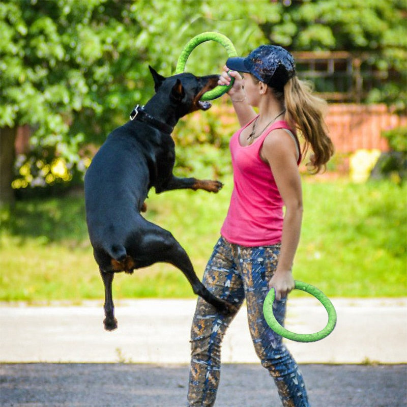 Pet Flying Discs - Fur Baby Finds