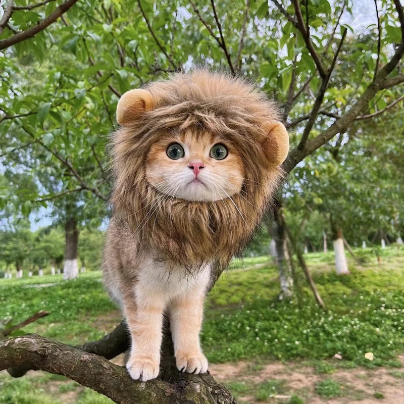 Cute Cat Lion Mane Costume - Fur Baby Finds