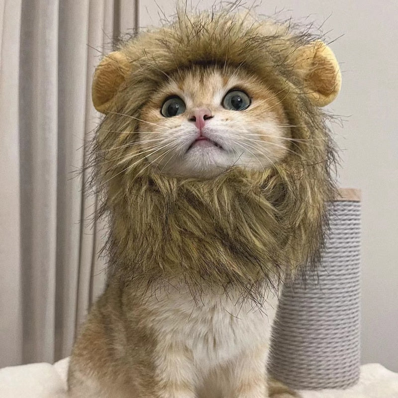 Cute Cat Lion Mane Costume - Fur Baby Finds