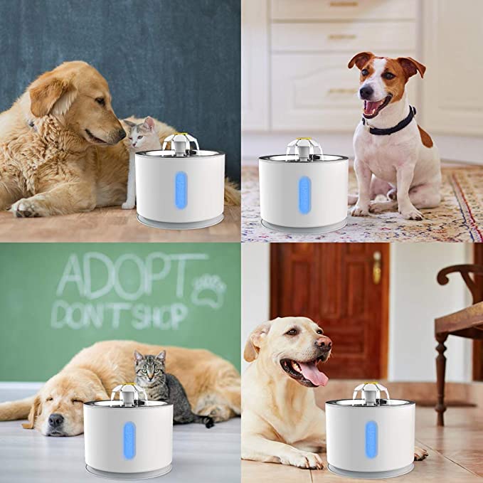 Pet Automatic Water Dispenser - Fur Baby Finds