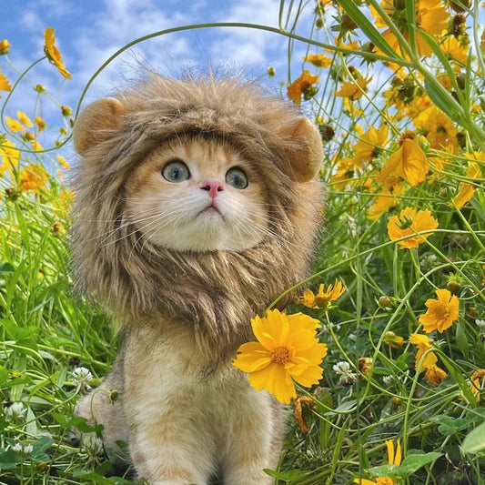 Cute Cat Lion Mane Costume - Fur Baby Finds