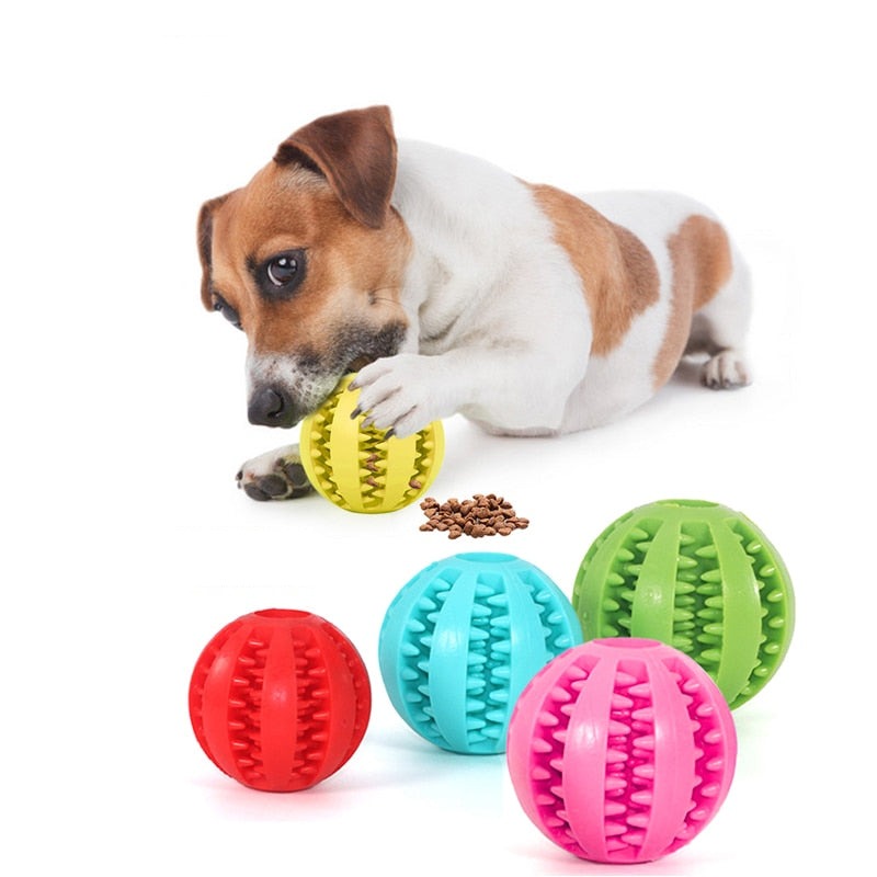 Rubber Pet Ball Toy - Fur Baby Finds